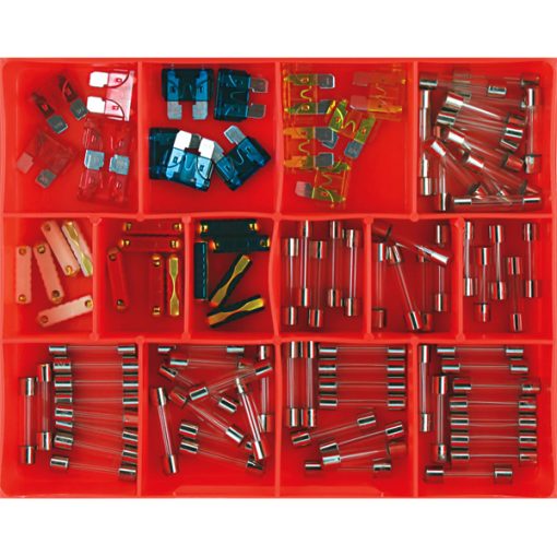 Champion 100pc Auto Fuse Assortment (Glass