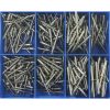 Champion 330pc Blind Rivet Assortment 304/A2