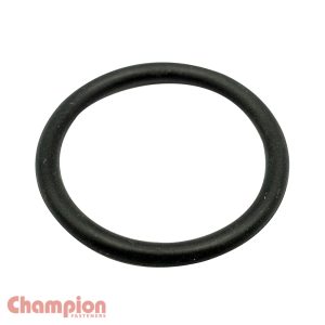 Champion 21mm (I.D.) x 2.5mm Metric O-Ring - 50pk