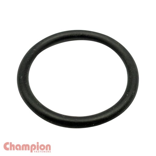 Champion 21mm (I.D.) x 2.5mm Metric O-Ring - 50pk