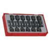 Teng 12pc 1/2in Dr. TX Skt Set TX10-70 - TC-Tray